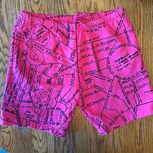 Supreme shorts